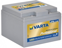 VARTA Professional Deep Cycle AGM 12V 24Ah